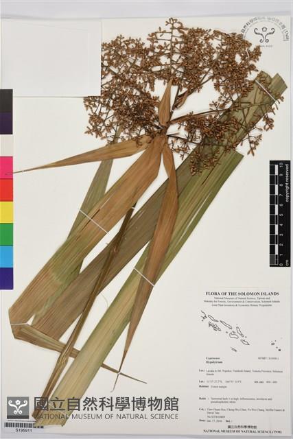 登錄號:S195911藏品圖，第1張