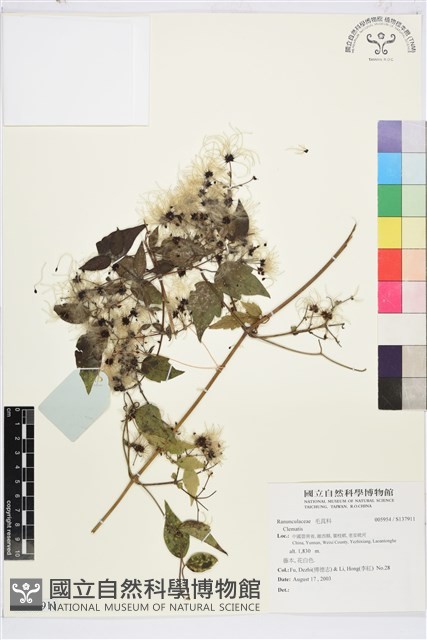 登錄號:S137911藏品圖，第1張