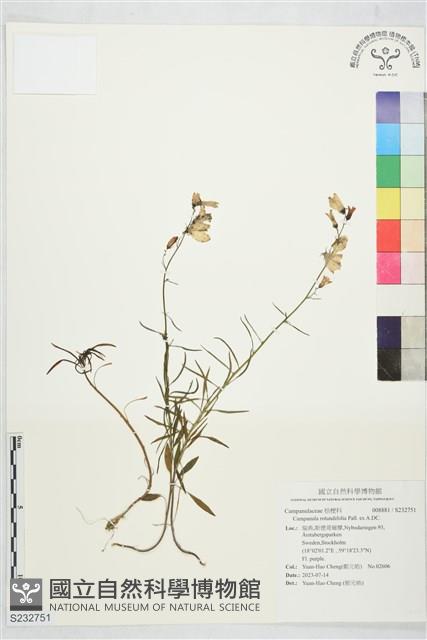 登錄號:S232751藏品圖，第1張