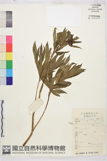 登錄號:S080751藏品圖，第1張