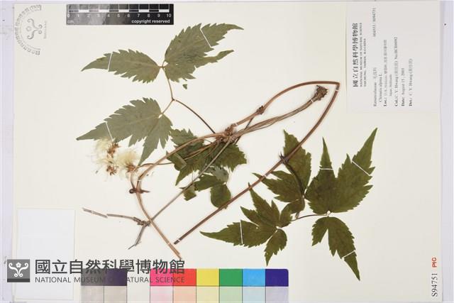 登錄號:S094751藏品圖，第1張