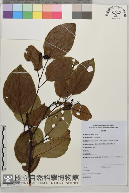 登錄號:S203751藏品圖，第1張