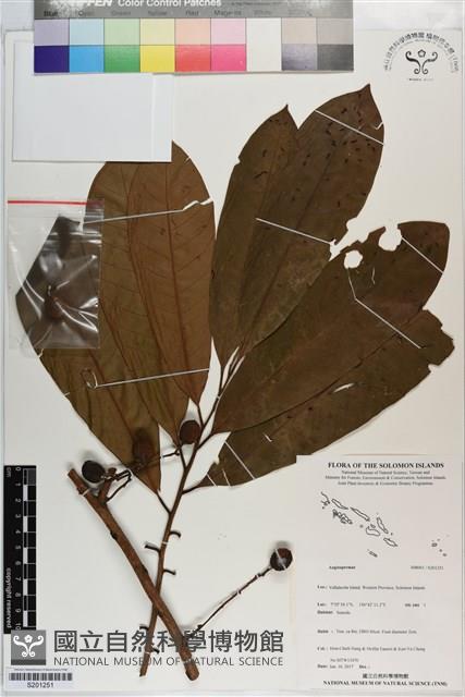 登錄號:S201251藏品圖，第1張