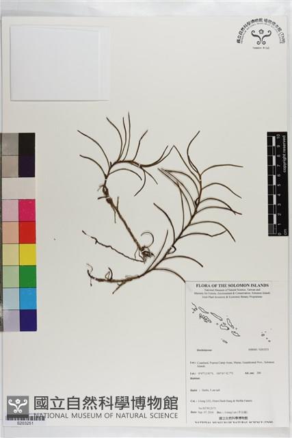 登錄號:S203251藏品圖，第1張