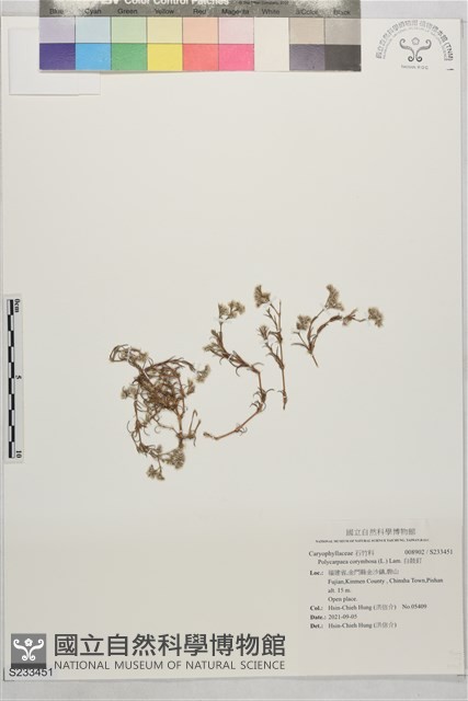 白鼓釘藏品圖，第1張