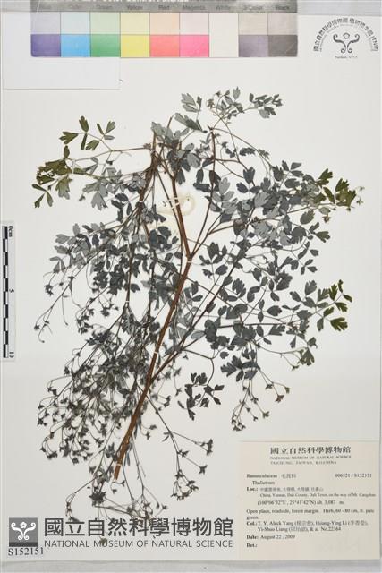 登錄號:S152151藏品圖，第1張