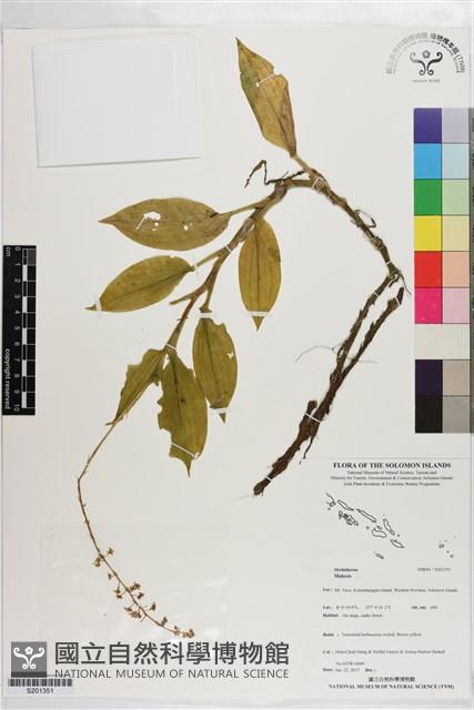 登錄號:S201351藏品圖，第1張