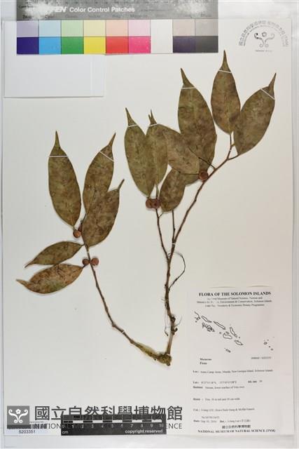 登錄號:S203351藏品圖，第1張