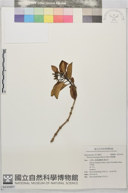 爬森藤藏品圖，第1張