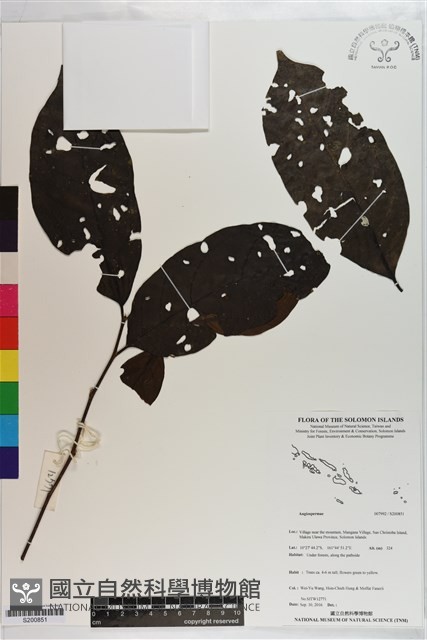 登錄號:S200851藏品圖，第1張