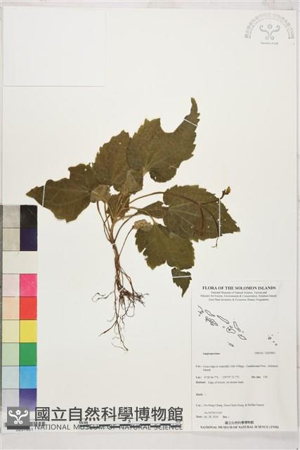 登錄號:S207851藏品圖，第1張
