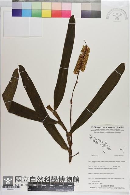 登錄號:S200951藏品圖，第1張