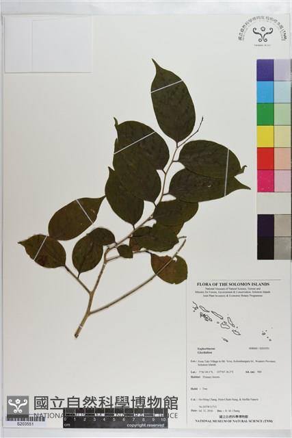 登錄號:S203551藏品圖，第1張