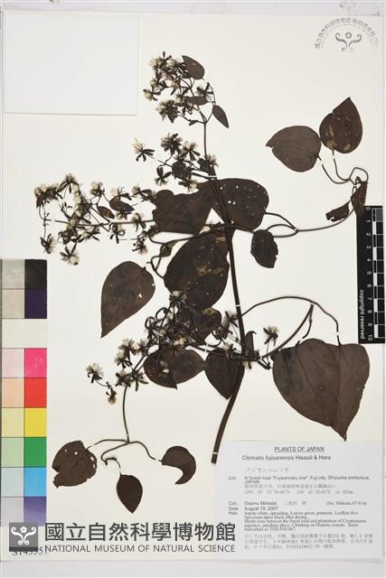 登錄號:S143551藏品圖，第1張