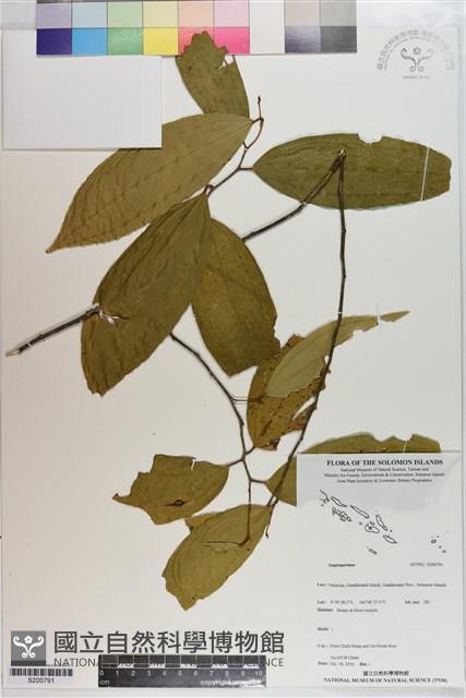 登錄號:S200791藏品圖，第1張