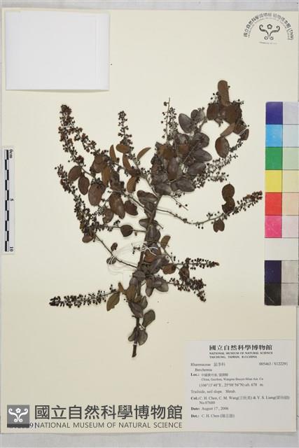 登錄號:S122291藏品圖，第1張