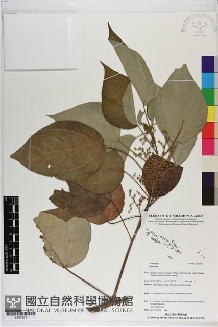 登錄號:S200291藏品圖，第1張