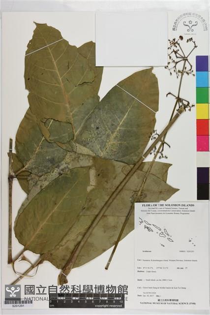 登錄號:S201291藏品圖，第1張