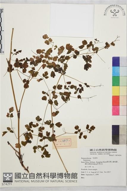 登錄號:S074291藏品圖，第1張