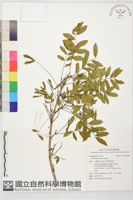 登錄號:S227491藏品圖，第1張