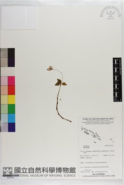 登錄號:S203191藏品圖，第1張