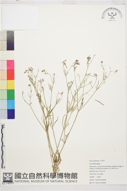 登錄號:S174891藏品圖，第1張