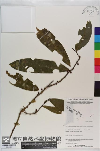 登錄號:S200991藏品圖，第1張