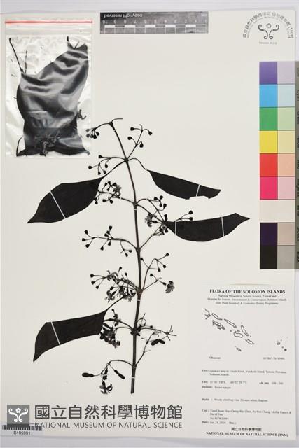 登錄號:S195991藏品圖，第1張