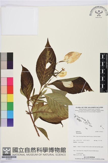 登錄號:S195631藏品圖，第1張