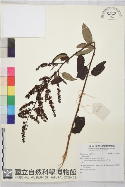 登錄號:S136031藏品圖，第1張