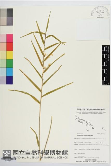 登錄號:S195731藏品圖，第1張