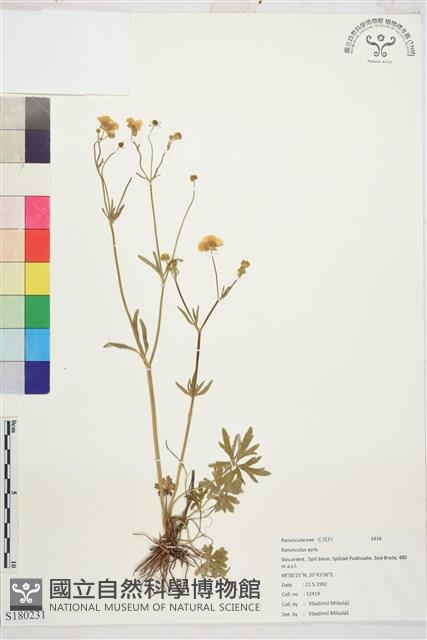 登錄號:S180231藏品圖，第1張