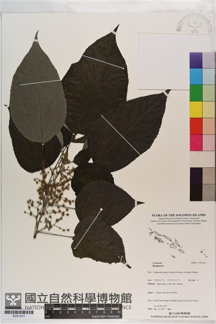 登錄號:S201231藏品圖，第1張