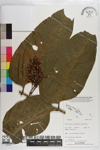 登錄號:S203231藏品圖，第1張