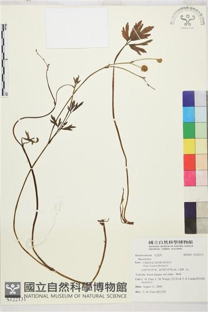 登錄號:S122131藏品圖，第1張