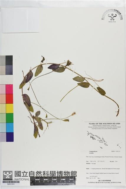 登錄號:S201331藏品圖，第1張