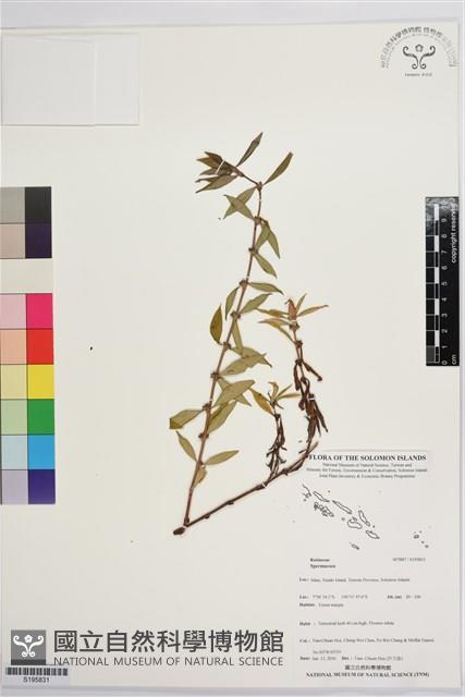 登錄號:S195831藏品圖，第1張