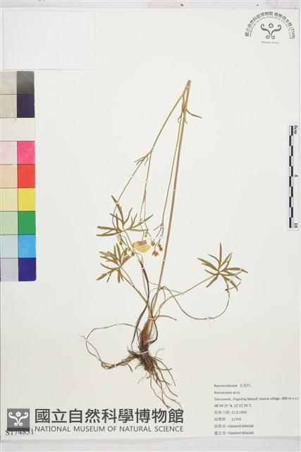 登錄號:S174831藏品圖，第1張