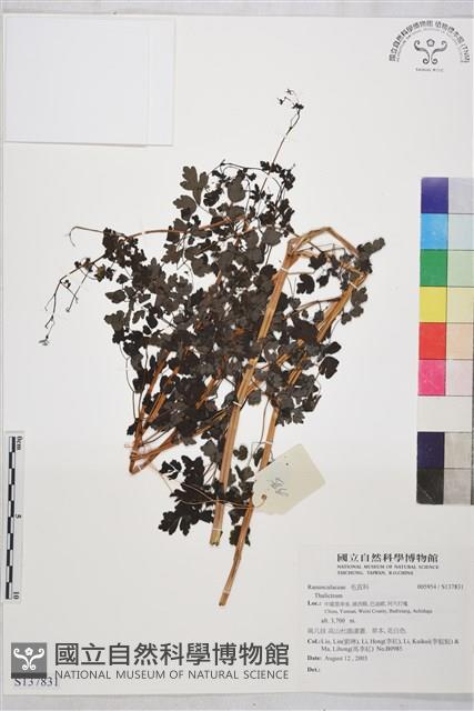 登錄號:S137831藏品圖，第1張