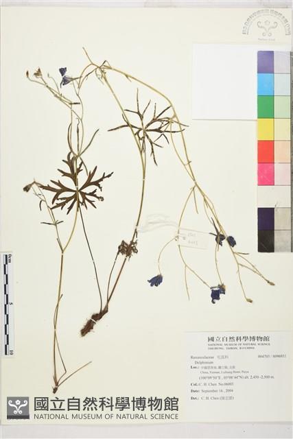 登錄號:S096931藏品圖，第1張