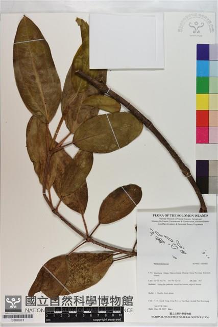 登錄號:S200931藏品圖，第1張