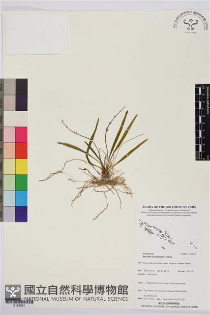 登錄號:S195661藏品圖，第1張