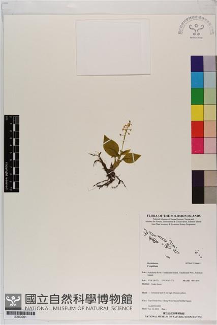 登錄號:S200061藏品圖，第1張