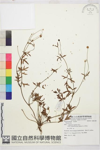 登錄號:S081461藏品圖，第1張