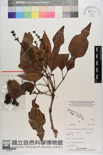 登錄號:S200161藏品圖，第1張