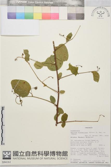 登錄號:S094161藏品圖，第1張