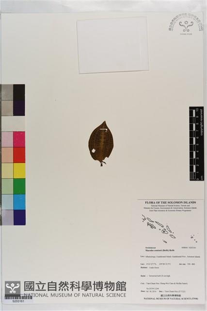 登錄號:S203161藏品圖，第1張