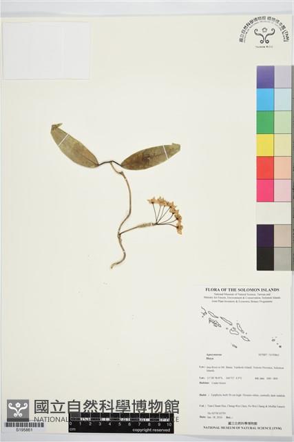 登錄號:S195861藏品圖，第1張