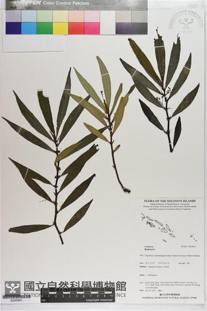 登錄號:S200961藏品圖，第1張