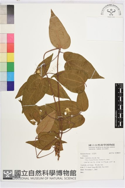 登錄號:S186641藏品圖，第1張